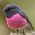 Sandar Hnin's profile image