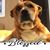 Desiree Cipres Thomas's profile image