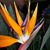 Sheila MacKay's profile image