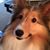 Diane Ball's profile image
