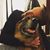 Jerad Schutt's profile image