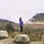 Samantha M. Mencarini's profile image