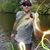 Tim Gorski's profile image