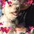 Isabel Franco's profile image