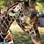 Michelle Hunter's profile image