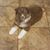 Ron Bathurst's profile image