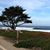 Jennifer Brown-Villanueva's profile image