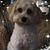 Yvonne Delap Kruse-Brauer's profile image