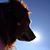 Mary Pat's profile image