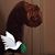 Bradley Michael Kronz's profile image