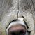 Lora Winebarger's profile image