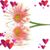 Debra Jean Mclaughlin's profile image