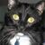 Sue Wachter's profile image