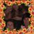Patricia Morrissey's profile image