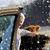 Linda Harman's profile image