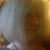 Connie Jones Martin's profile image