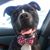 Michel And-Judy Marcellot's profile image
