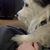 Heather Nordtvedt's profile image