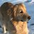 Carrie Jones's profile image