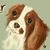 Julie Bryant's profile image