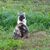 Jill Pope-Denney McBride's profile image