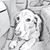 Alicia Adams Polk's profile image