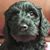 Bruce Hirshfield's profile image