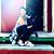 Krista McGilvry's profile image
