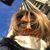 Josiane Cordeiro's profile image