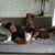 Weslley Oliveira's profile image