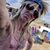 Andrea Jane's profile image