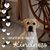 Joanie Brandt's profile image