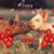 Carolyn Seipp Brancato's profile image