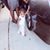 Christal Sankar's profile image