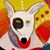 Bruce Paul Bombere's profile image