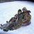 Michelle Cox Vogt's profile image
