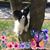 Kathy Fennessey's profile image