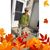 Rosemarie Braun-Germann's profile image