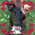 Barbara Renda's profile image