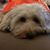 Stacy Tucci-Faust's profile image