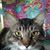 Mary L. Dunphy's profile image