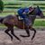 Dina Conenello's profile image