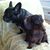 Judith Parker's profile image