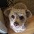 Patricia Jacobsen's profile image