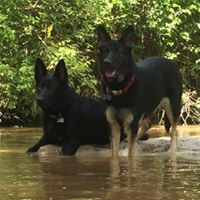 Billy Mulina's profile image