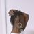 Jennifer A Browne-Brown's profile image