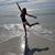 Diane Kole's profile image