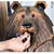 Bradley Jameson McMahan's profile image
