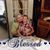 Wanda Sanders Fleming's profile image