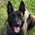 Marc Collins's profile image